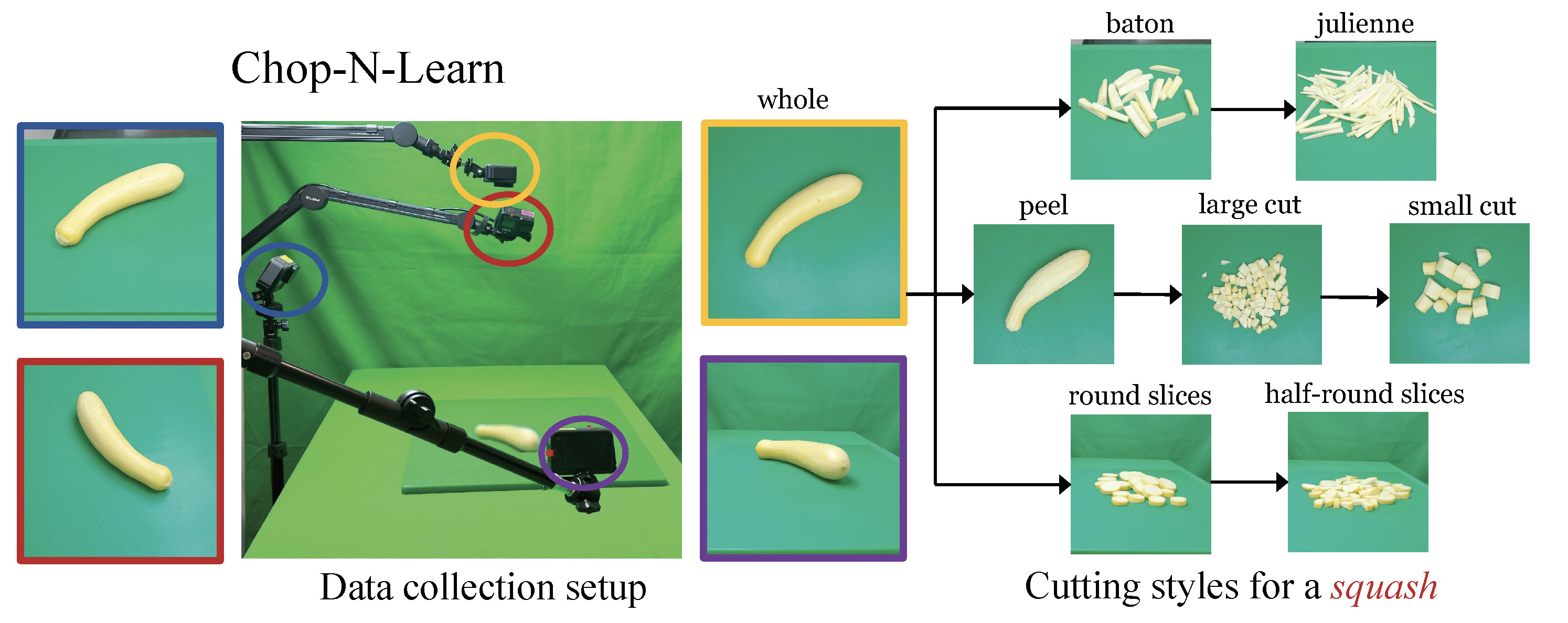 dataset_collection